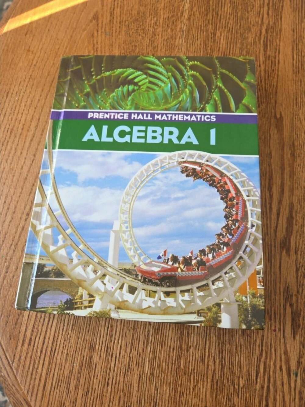 Prentice Hall Mathematics Algebra 1 Textbook